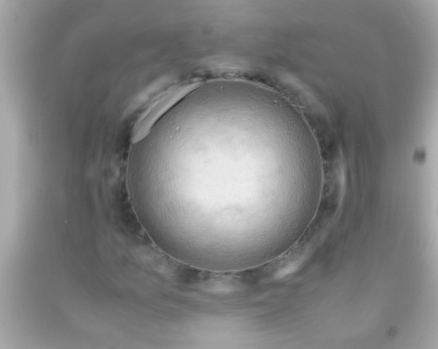 X0000091501157200709061916