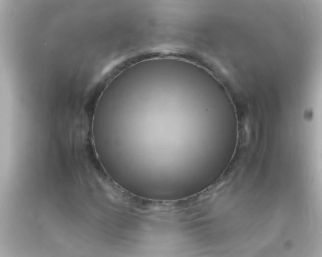 X0000091501158200709061916