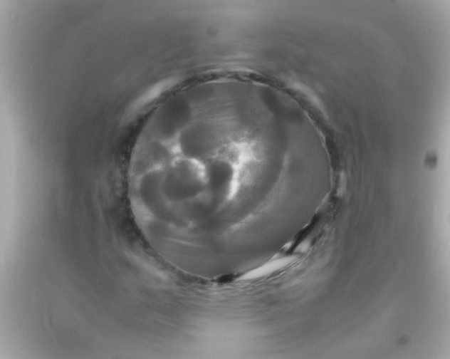 X0000091501159200709061916