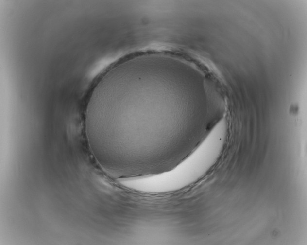 X0000091501160200709061916