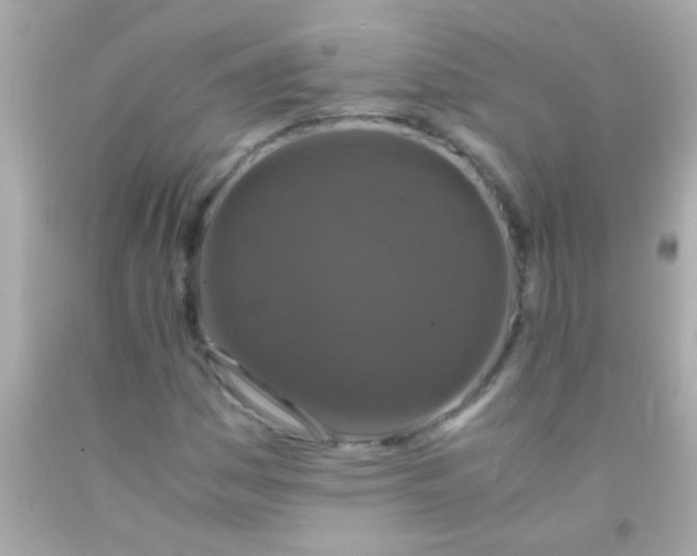 X0000091501161200709061916