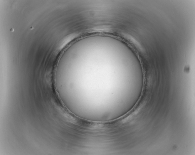 X0000091501162200709061916