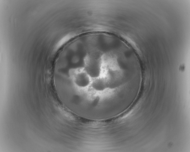 X0000091501163200709061916