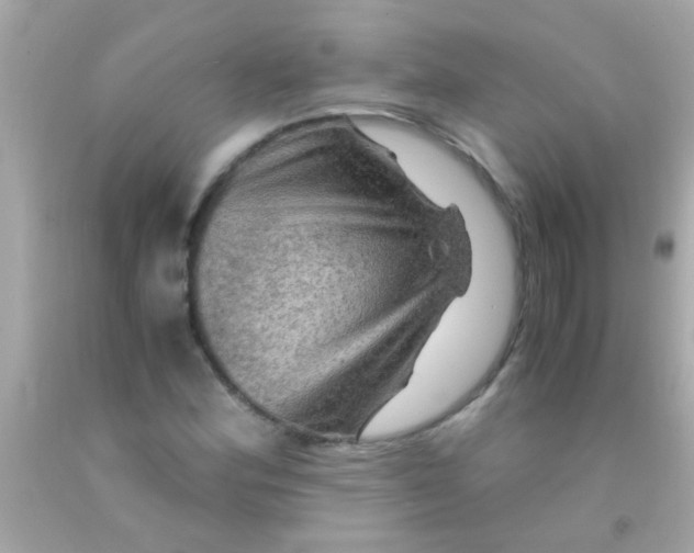 X0000091501164200709061916