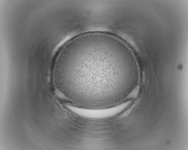 X0000091501165200709061916