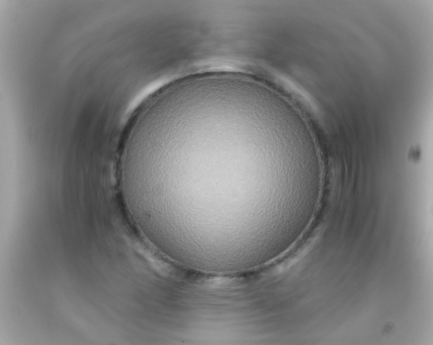 X0000091501166200709061916