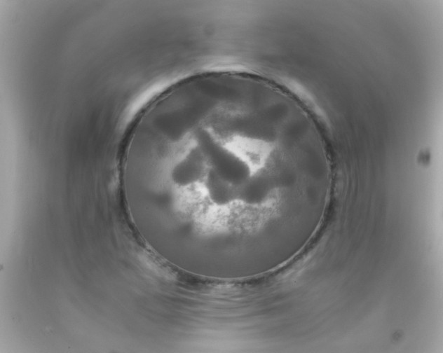 X0000091501167200709061916