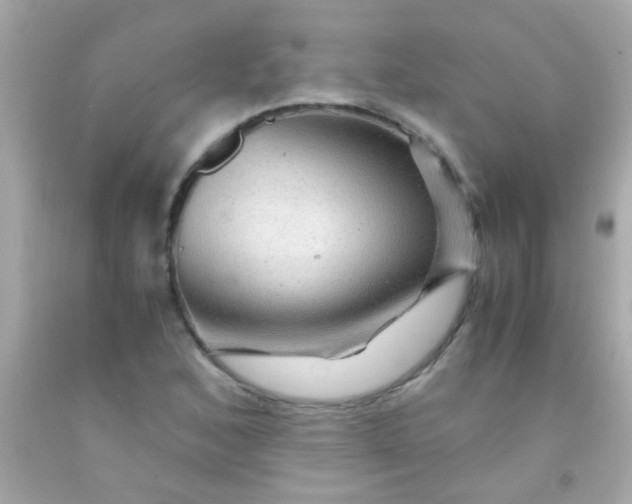 X0000091501168200709061916