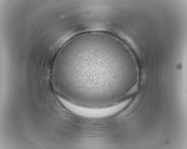 X0000091501169200709061916