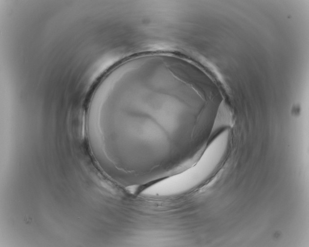 X0000091501171200709061916