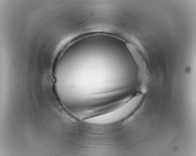 X0000091501172200709061916