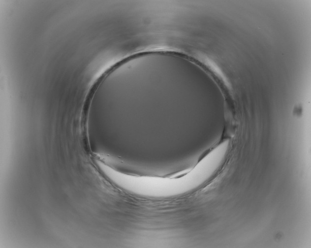 X0000091501173200709061916