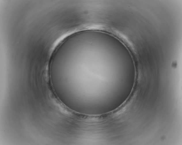 X0000091501174200709061916