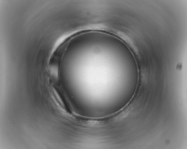 X0000091501176200709061916