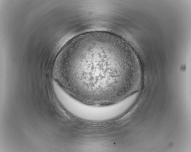 X0000091501177200709061916