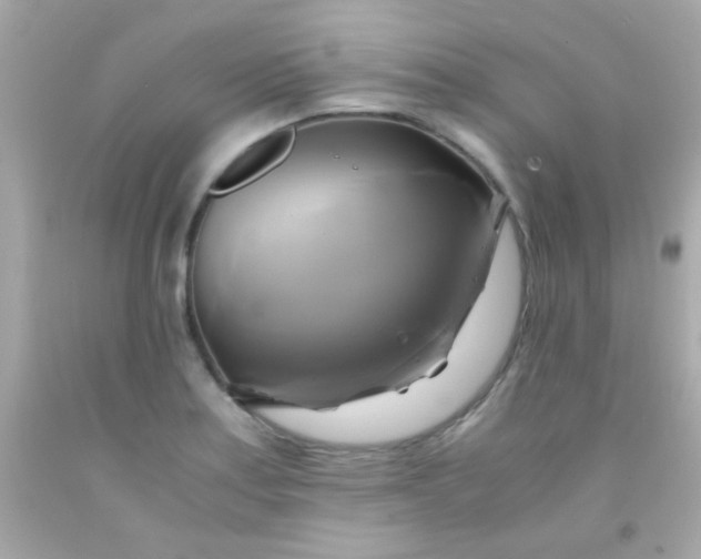 X0000091501179200709061916