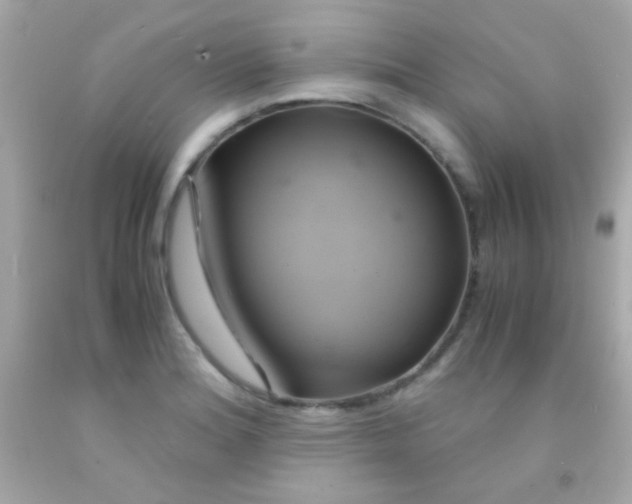 X0000091501180200709061916