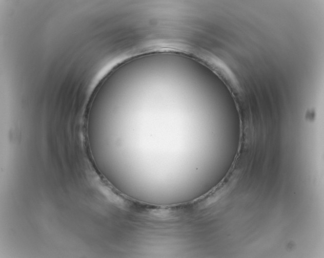 X0000091501182200709061916