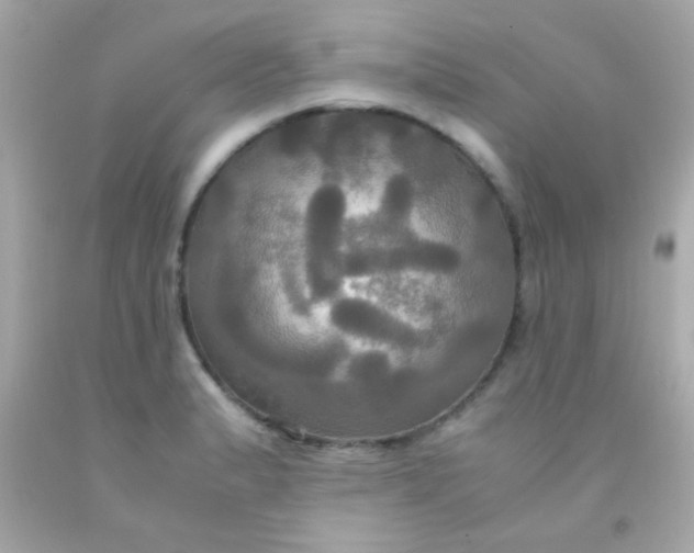 X0000091501183200709061916