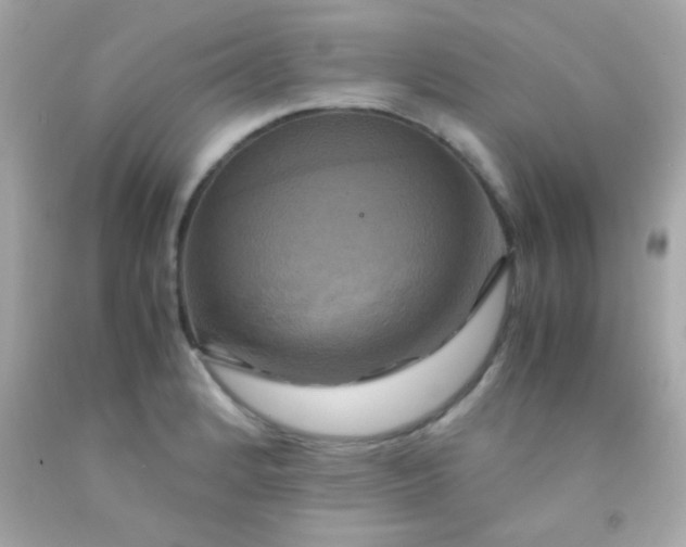 X0000091501184200709061916