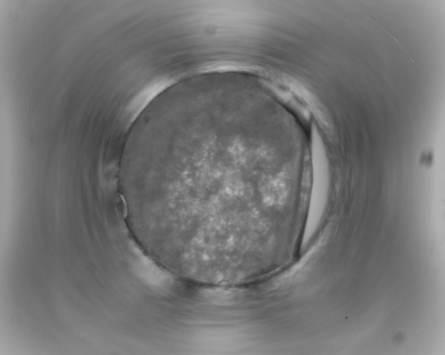 X0000091501185200709061916