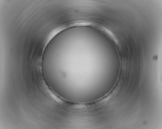 X0000091501186200709061916