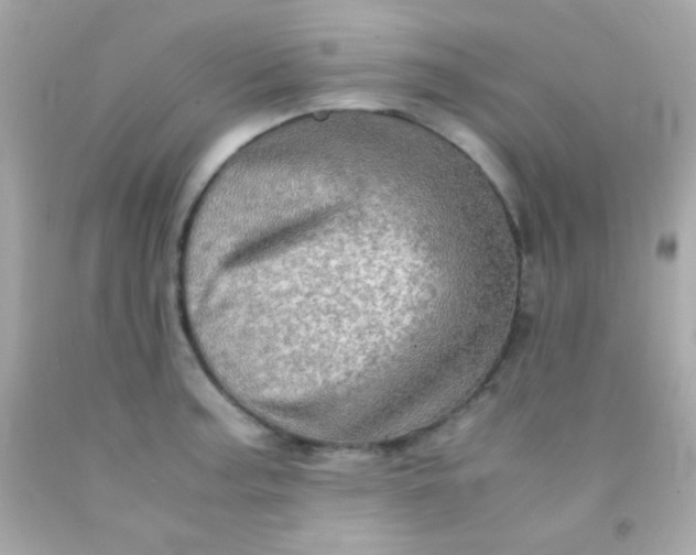 X0000091501187200709061916