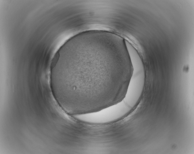 X0000091501188200709061916