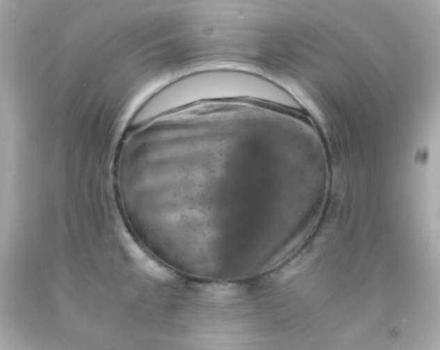 X0000091501189200709061916