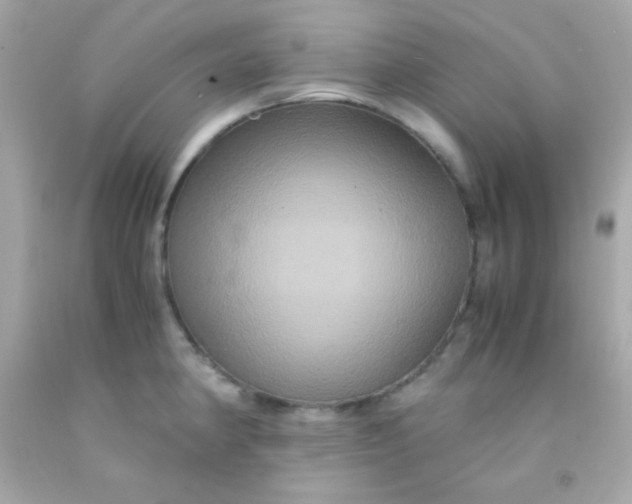 X0000091501190200709061916