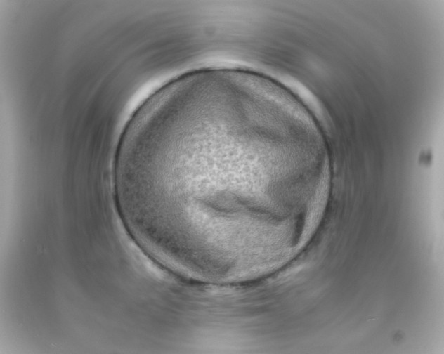 X0000091501191200709061916