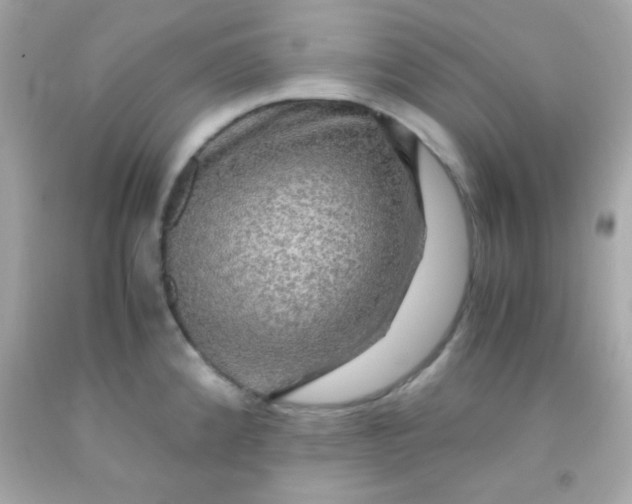 X0000091501192200709061916