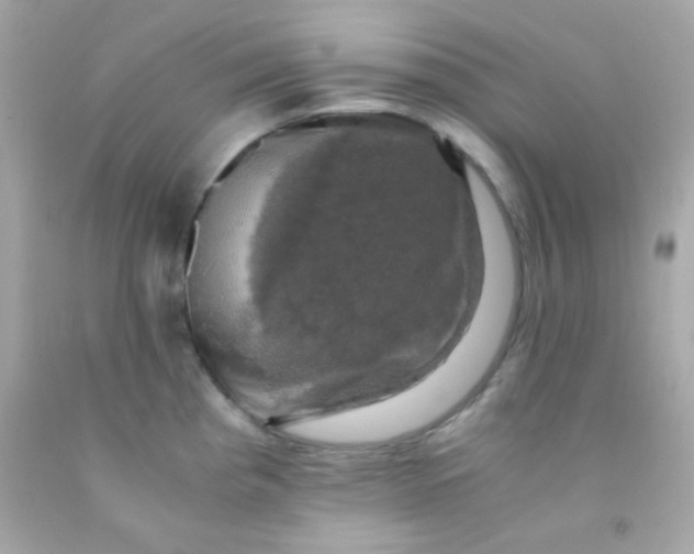 X0000091501193200709061916