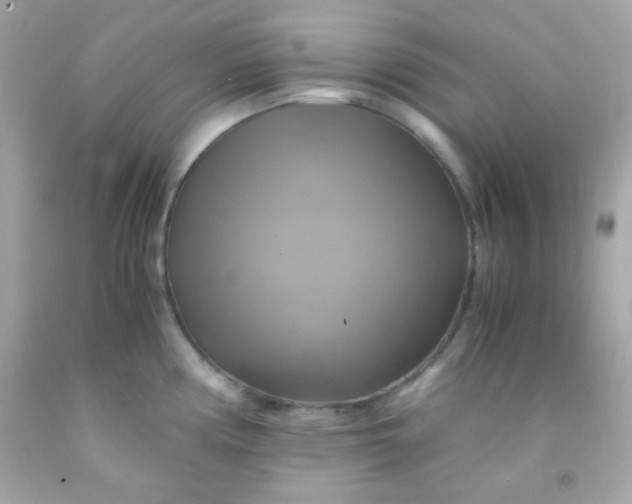 X0000091501194200709061916