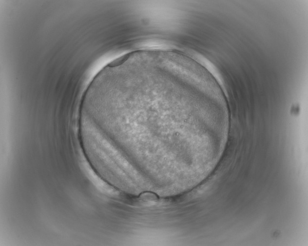 X0000091501195200709061916