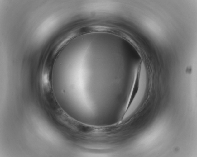 X0000091501198200709061916