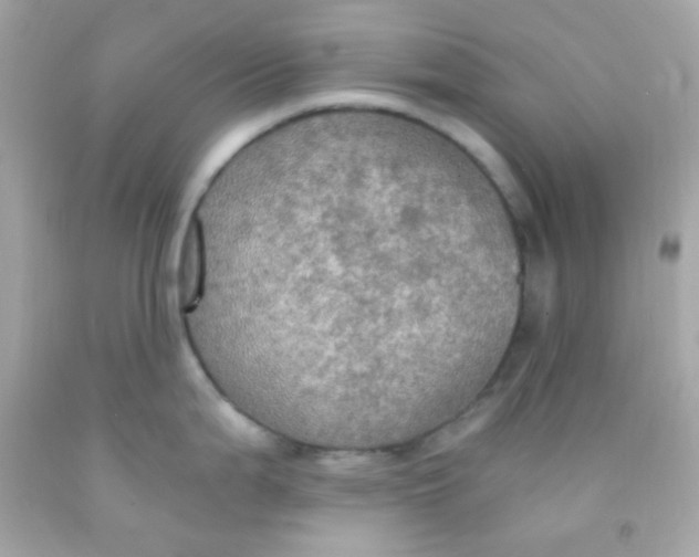 X0000091501199200709061916