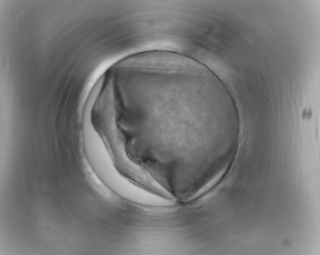 X0000091501200200709061916