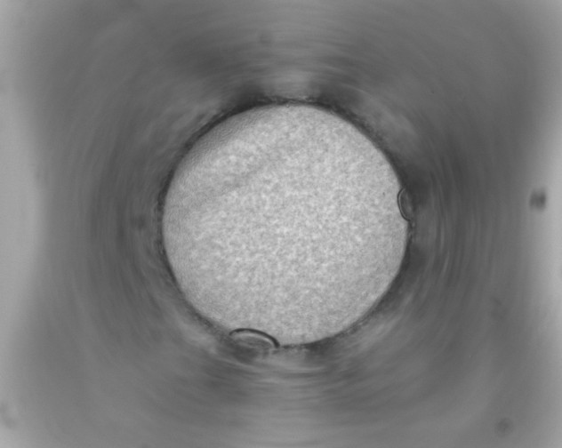 X0000091501201200709061915