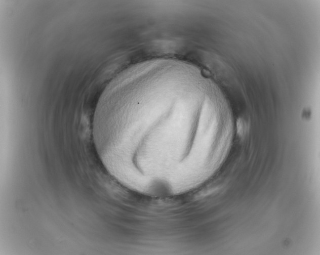 X0000091501203200709061915