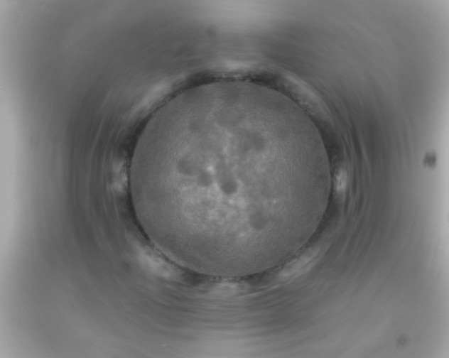 X0000091501204200709061915