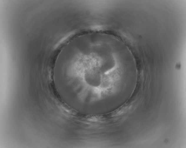 X0000091501205200709061915