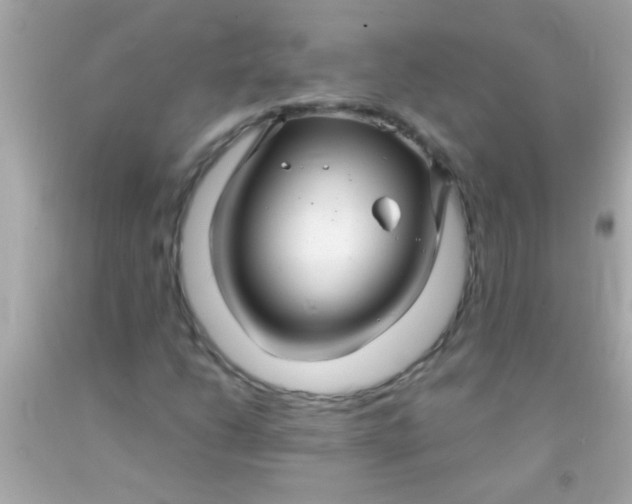 X0000091501206200709061915