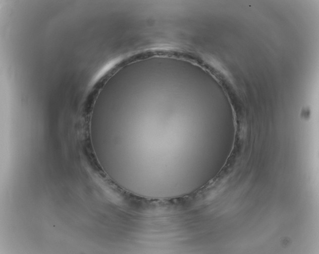 X0000091501208200709061915