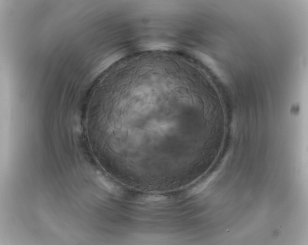 X0000091501209200709061915