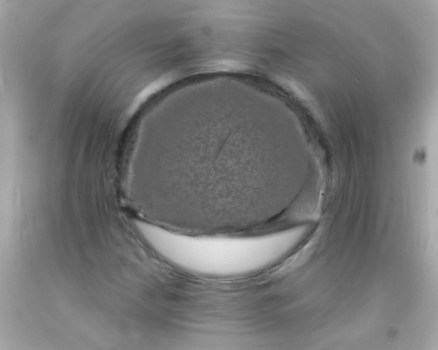 X0000091501210200709061915