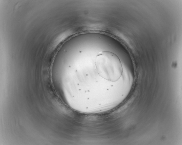 X0000091501211200709061915