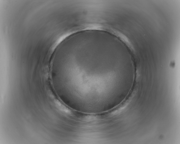 X0000091501212200709061915