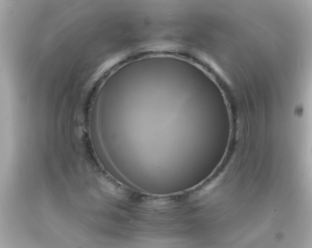 X0000091501213200709061915