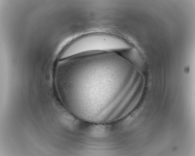 X0000091501214200709061915